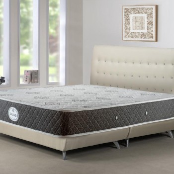 مرتبه وايت روم كونكورد ارتفاع 25 سم 