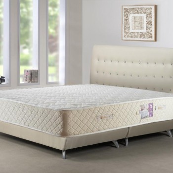 مرتبه وايت رووم وايت بوكت ارتفاع 30 سم 